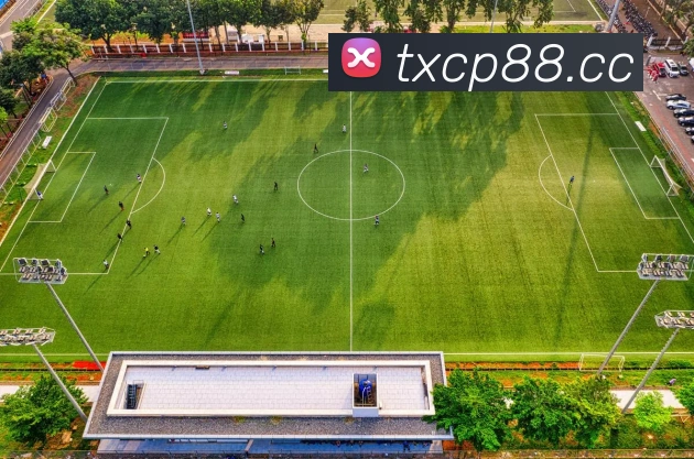 彩神vll官网APP 体育赛事宣传图